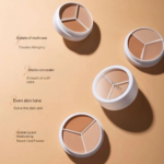 3 in 1 Multicolor Concealer Palette (6)
