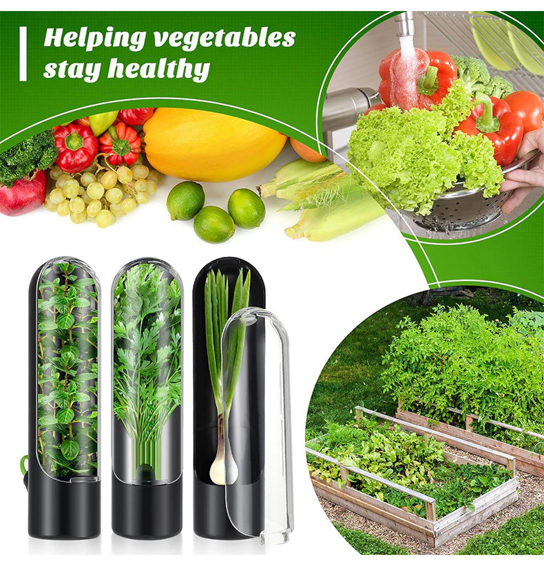 Fresh Herb Storage Container